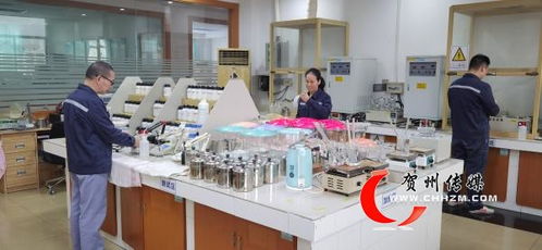 賀州市經(jīng)濟社會發(fā)展成就綜述 奮力走在前列 譜寫精彩篇章